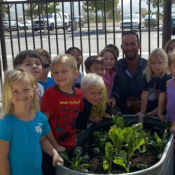Bill Schnetz veggie planting day in Encinitas school