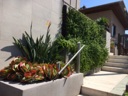 san diego ca landscaping