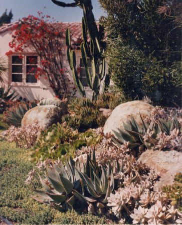 residential san diego landscapers