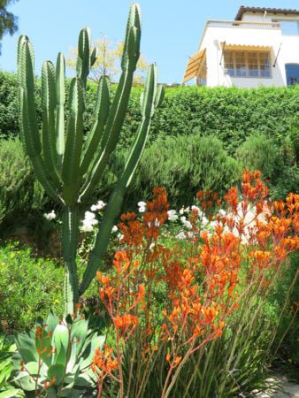 residential landscaping design san diego ca